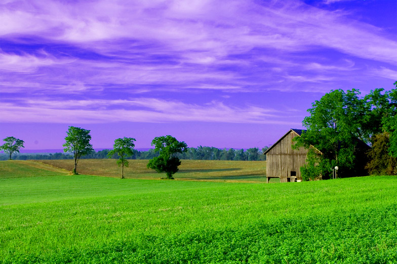 Bald Eagle Mountain, PA USA 摄影 yuhan