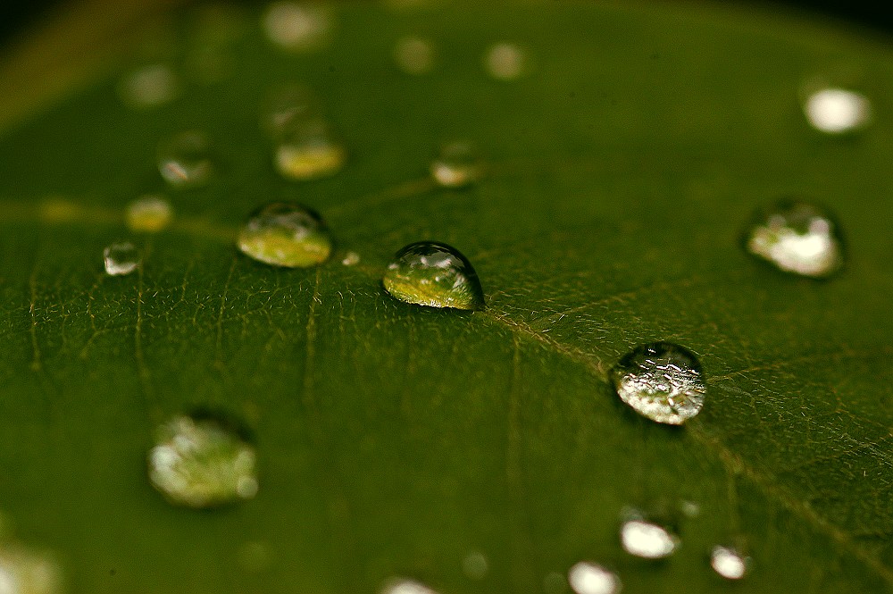 天然水晶 摄影 炎焱水淼