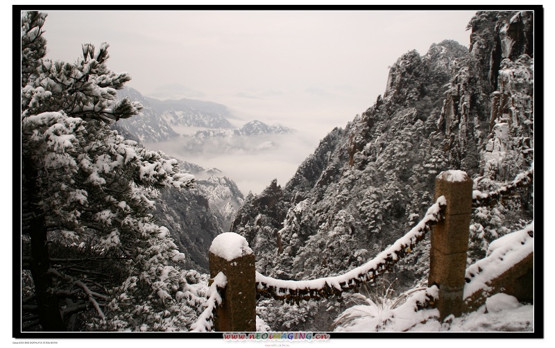 冬雪黄山-3 摄影 竹间行