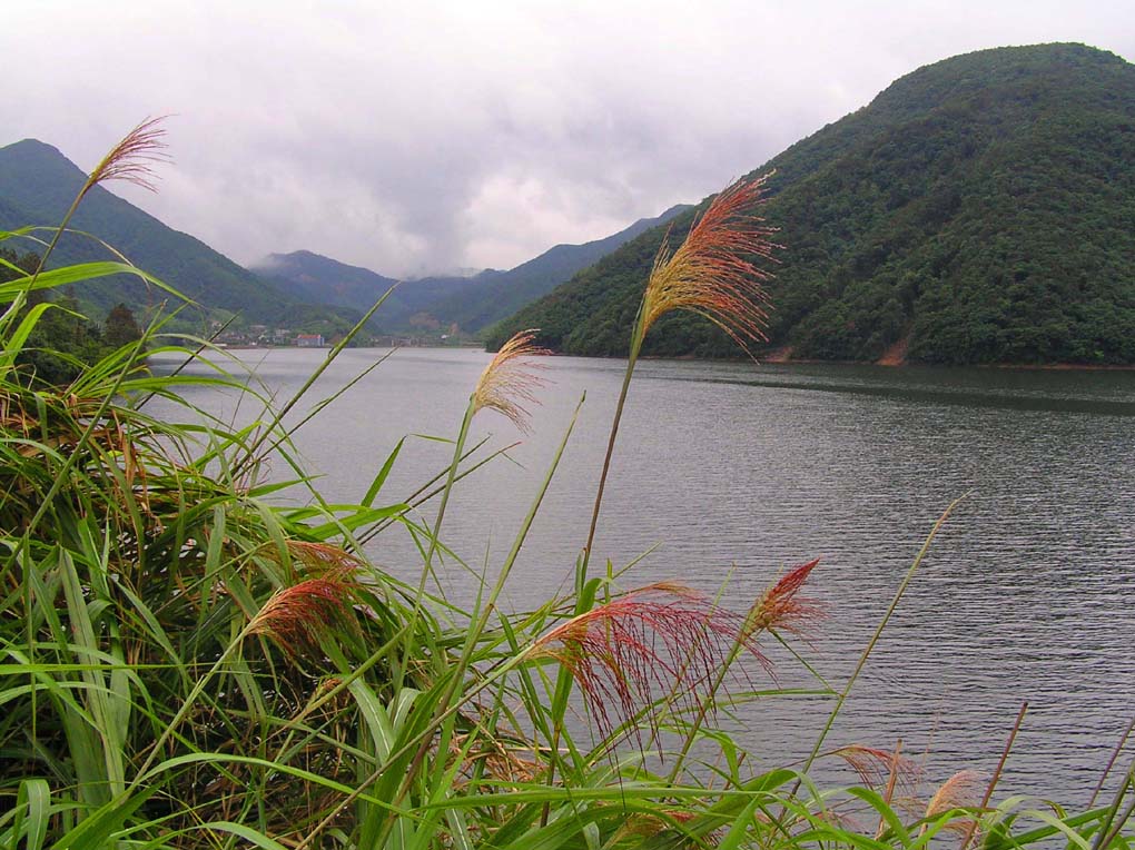 宁波北仑水库 摄影 精密