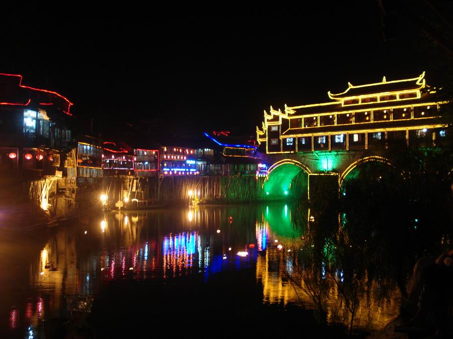 凤凰夜景 摄影 雨中紫丁香