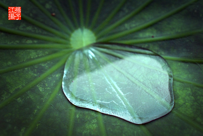 雨后 摄影 扬子江