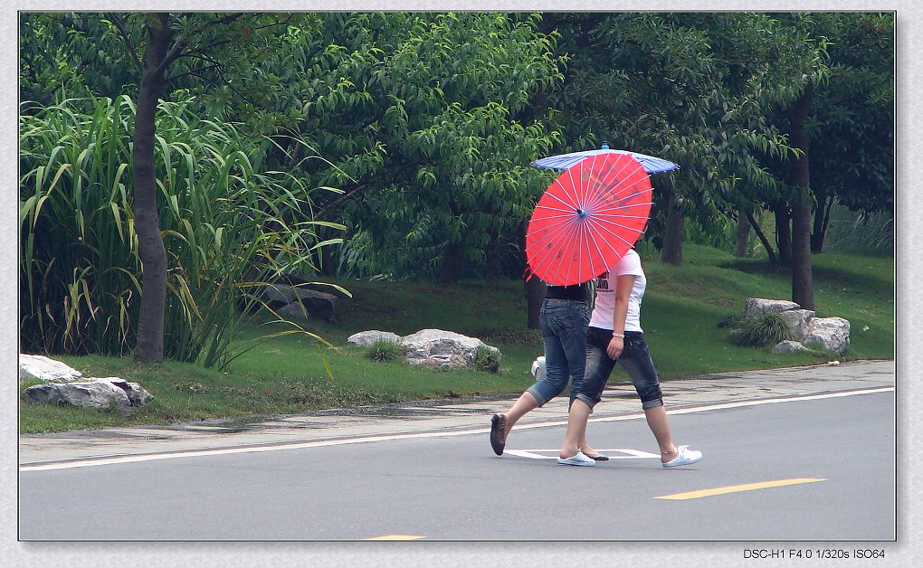 夏日风情 摄影 小桥流水63