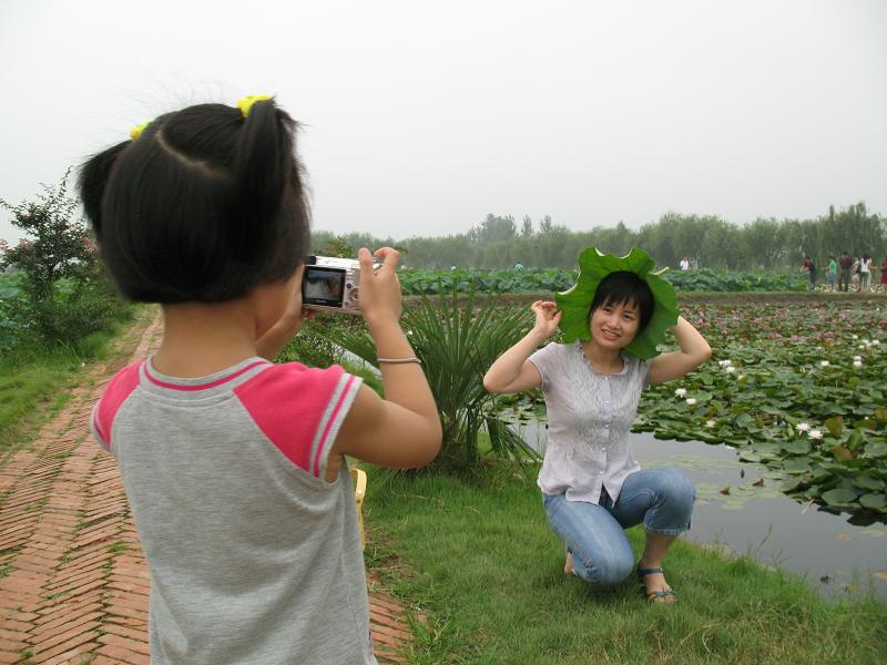 荷花小仙子 摄影 摄色风尘