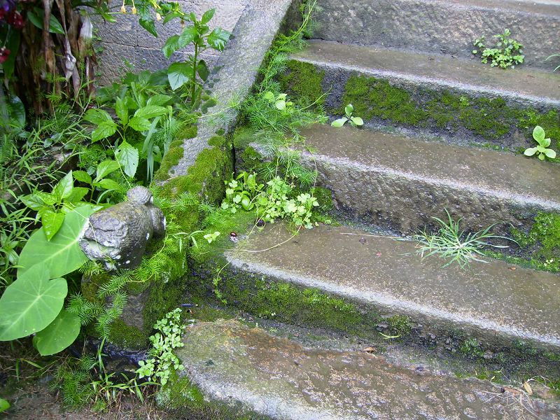 写在阶梯上 摄影 在寻找