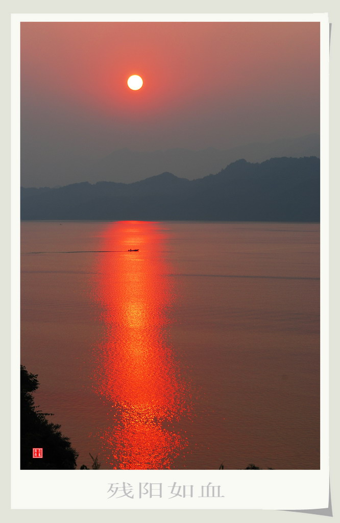 夕照 摄影 田野的风