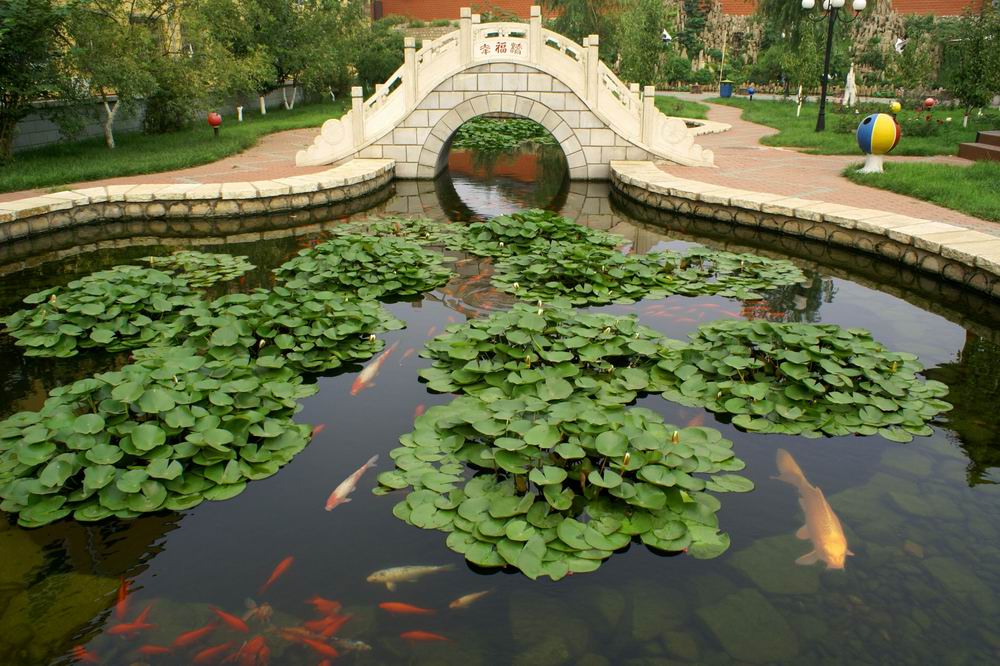 供电小区一景 摄影 ---飞鹰---