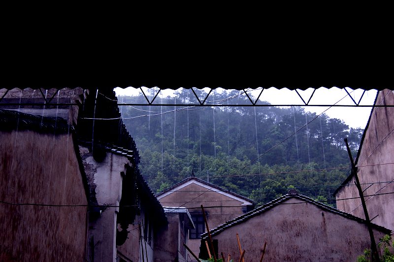 雨中即景！ 摄影 湖边醉月