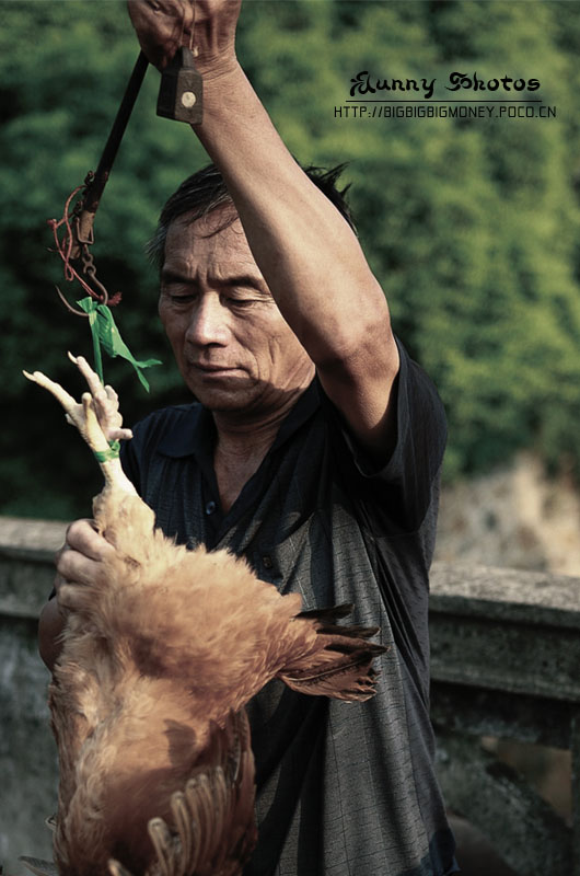 《卖鸡》--乡村见闻录第二辑 摄影 陈燕飞