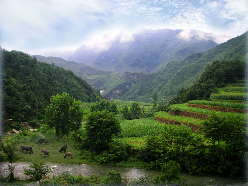 入山寻水 3 摄影 厨师解围腰