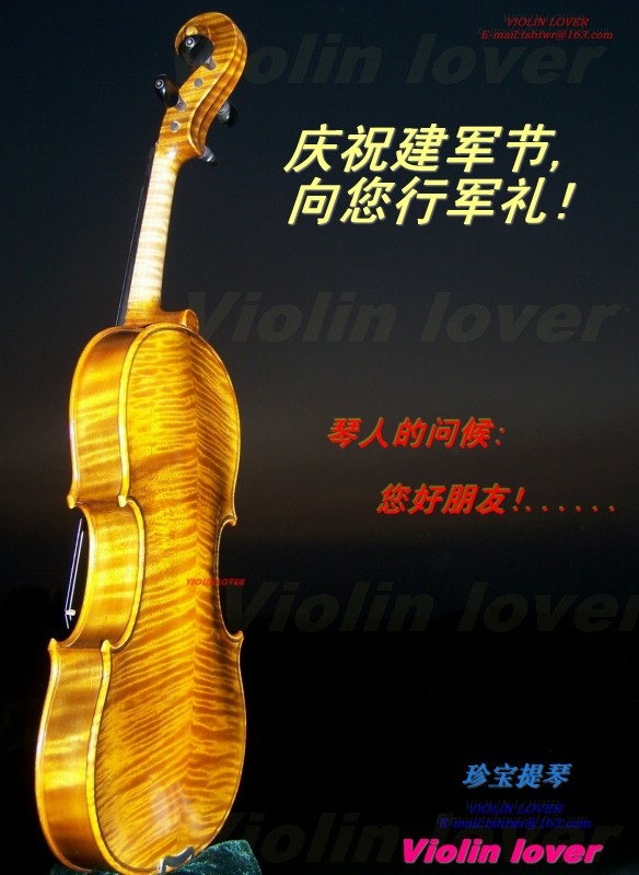 Violin lover (265） 摄影 小提琴情人