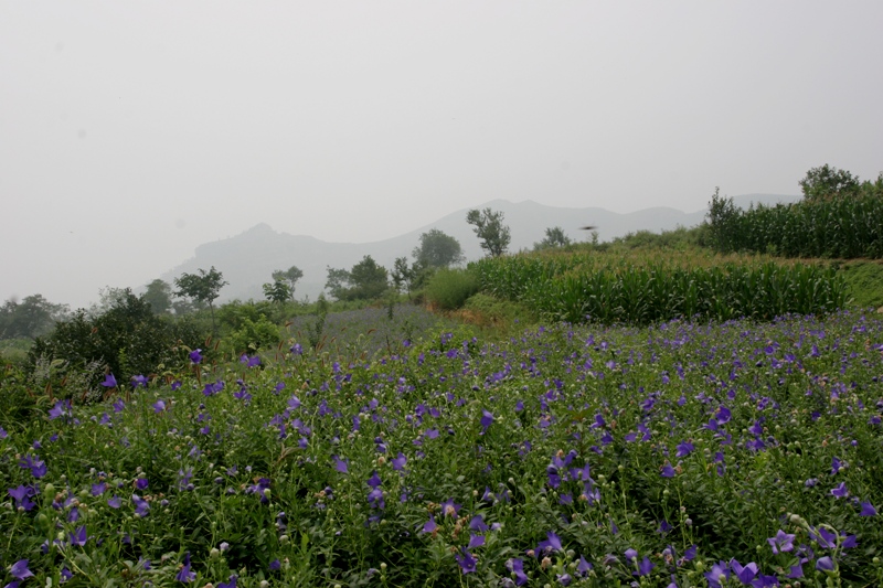 山村风景5 摄影 nzh333