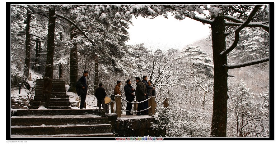 冬雪黄山-7 摄影 竹间行