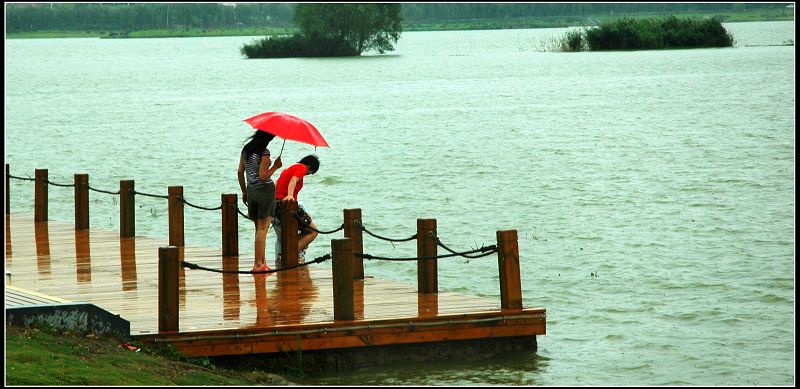 雨中嬉戏 摄影 秋风烈马