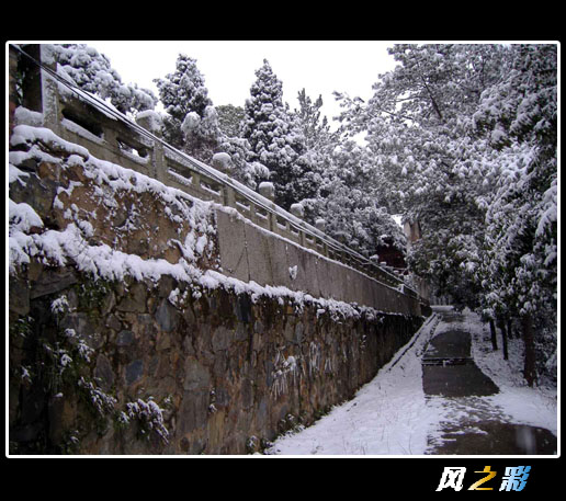 雪中幽道 摄影 风之彩