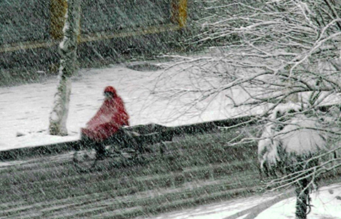 风雪早行人 摄影 青青兰草