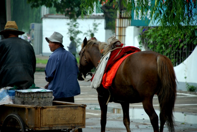 乡村的老农 摄影 hankun