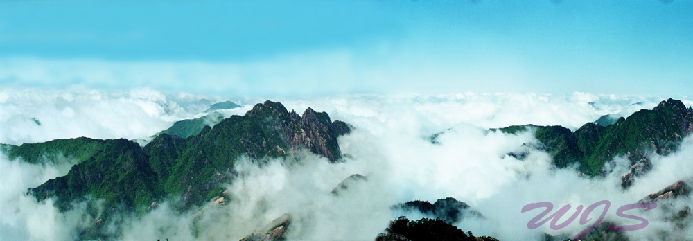 黄山云海 摄影 阿钧