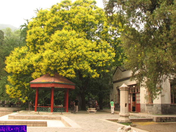 色 摄影 雨夜听风