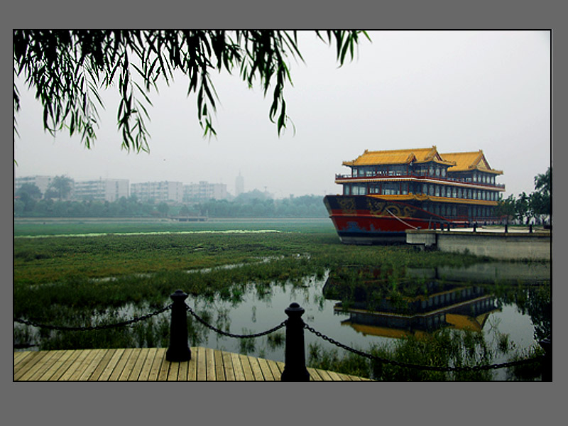 运河之夏 摄影 yongli