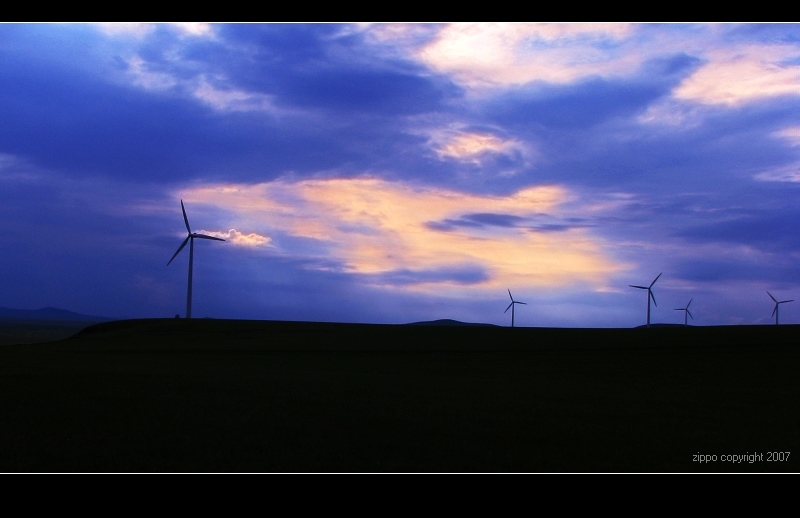 草原上的风车 摄影 zippooo