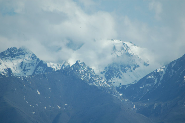 祁连山之夏 摄影 weixianghua