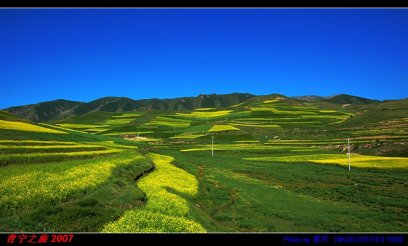 青藏公路-油菜花 摄影 hust