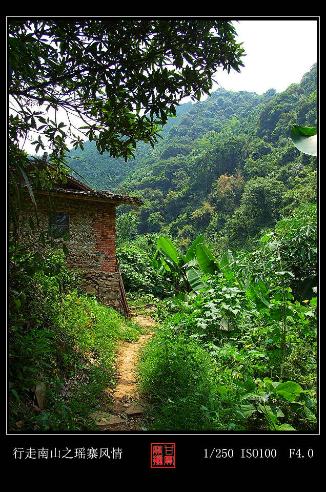 行走南山04 摄影 甘宝宝