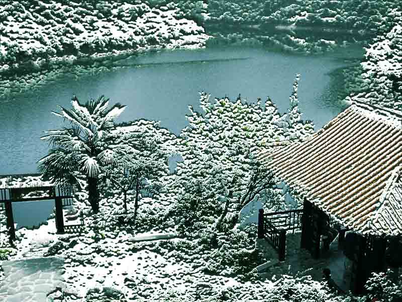 六月雪 摄影 厨师解围腰