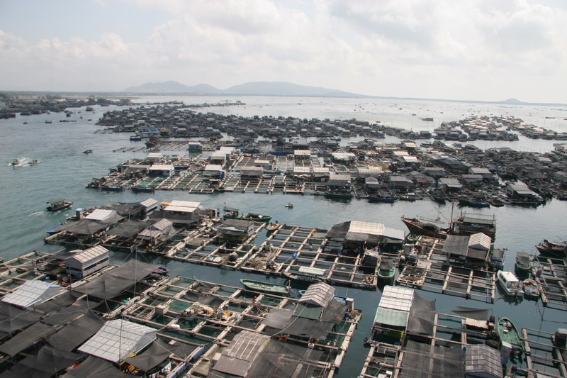 海上人家 摄影 阳光森林