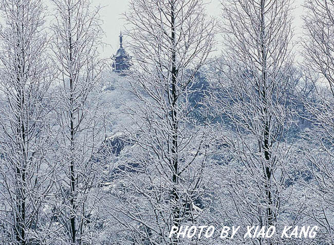 灵岩雪色 摄影 苏州山山山