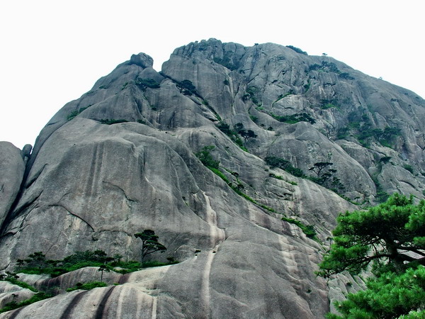 黄山 摄影 萝卜头