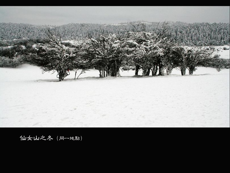 仙女山之冬 摄影 摄途