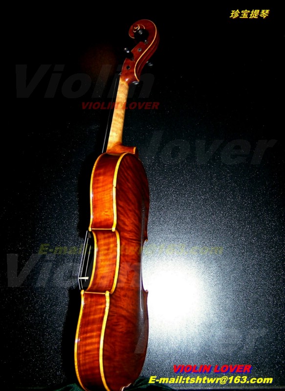 Violin lover (369) 摄影 小提琴情人