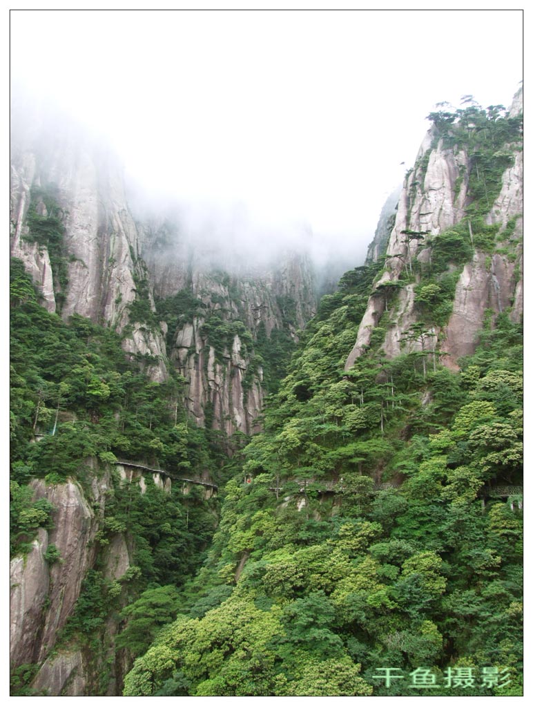 三清山大峡谷 摄影 干鱼会划水