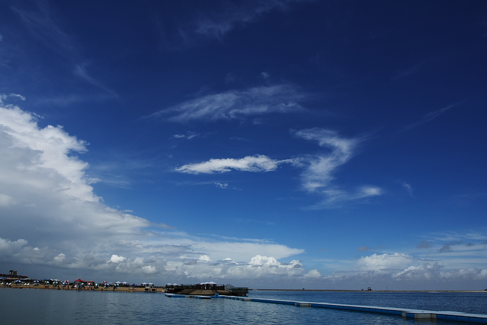 海天 摄影 又一鸟