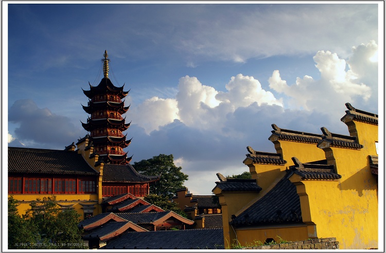 鸡鸣寺 摄影 咚子