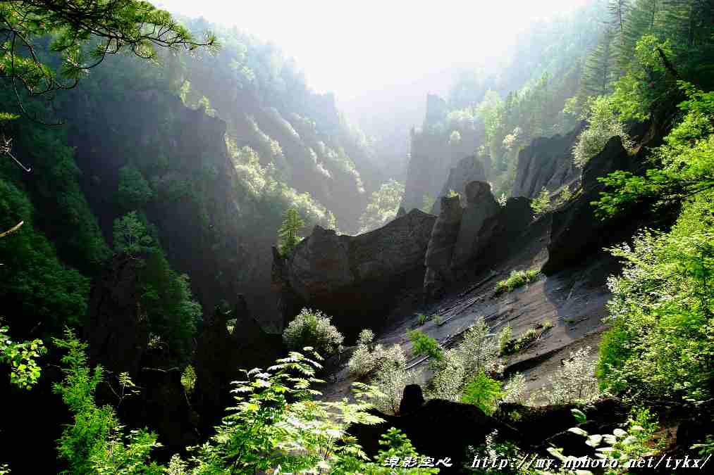 长白山大峡谷 摄影 潭影空芯