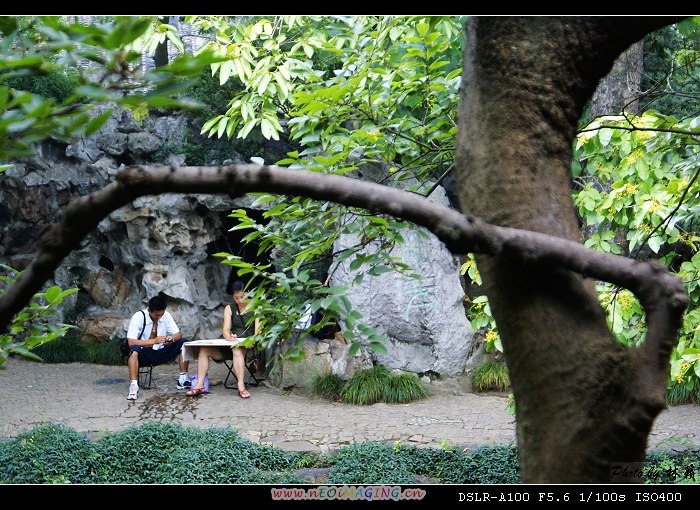 风景 摄影 林籁