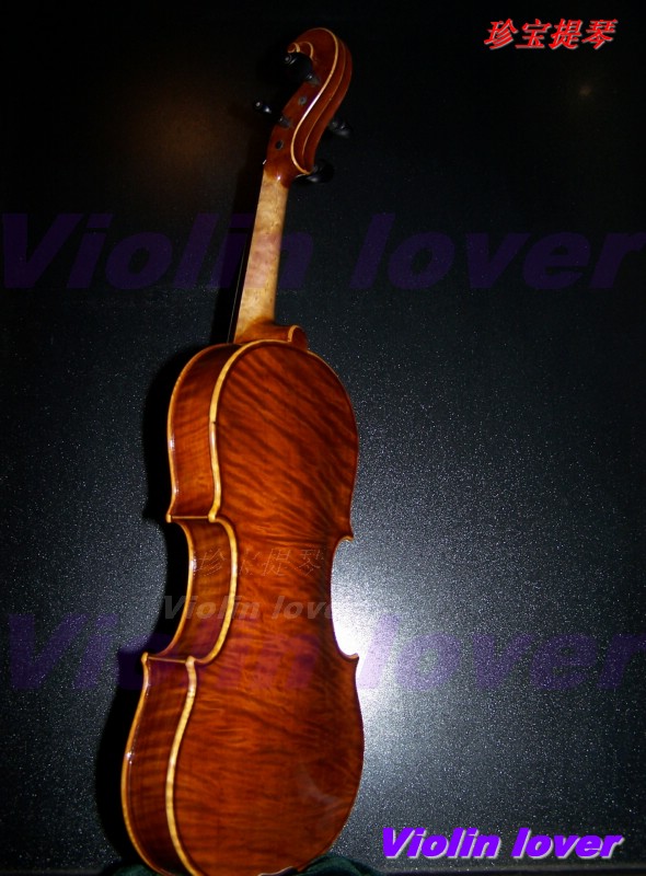 Violin lover(370) 摄影 小提琴情人