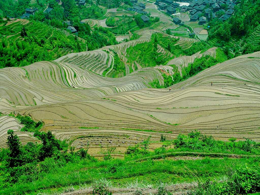 龙胜梯田 摄影 shenjizhang