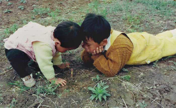 春芽 摄影 班庄老徐