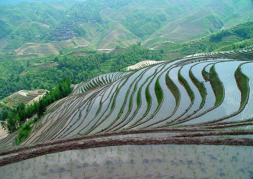 龙胜梯田 摄影 shenjizhang