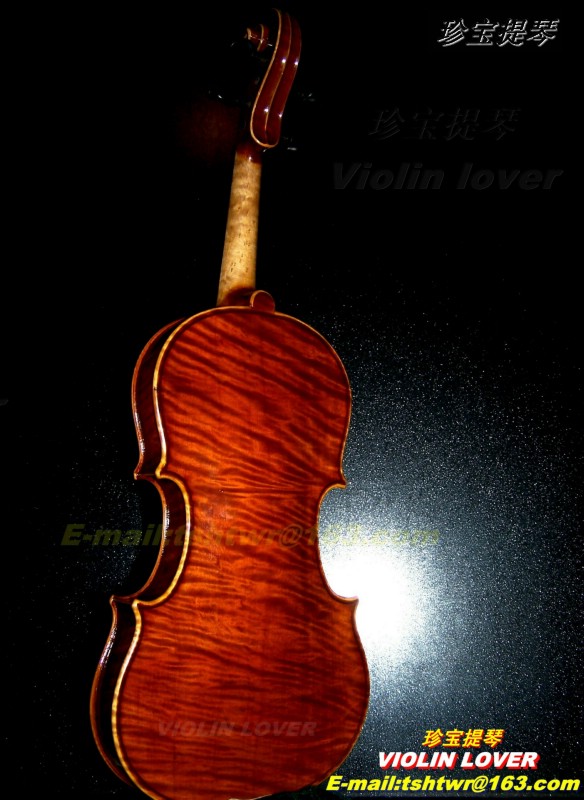 Violin lover(371) 摄影 小提琴情人