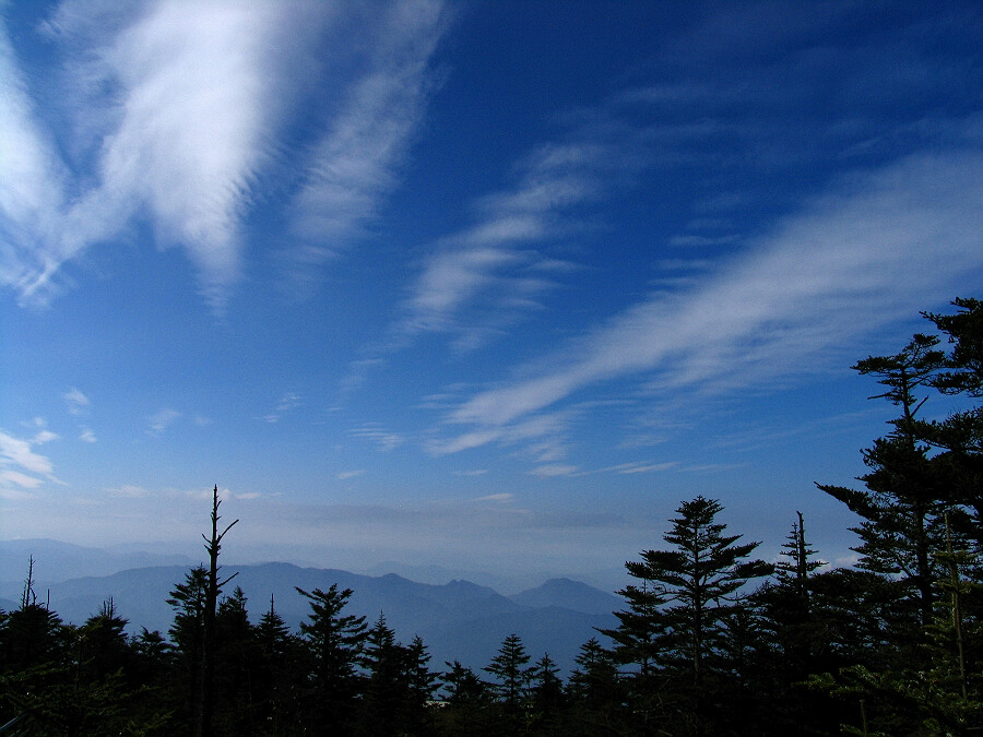 霞光万丈 摄影 神山员外