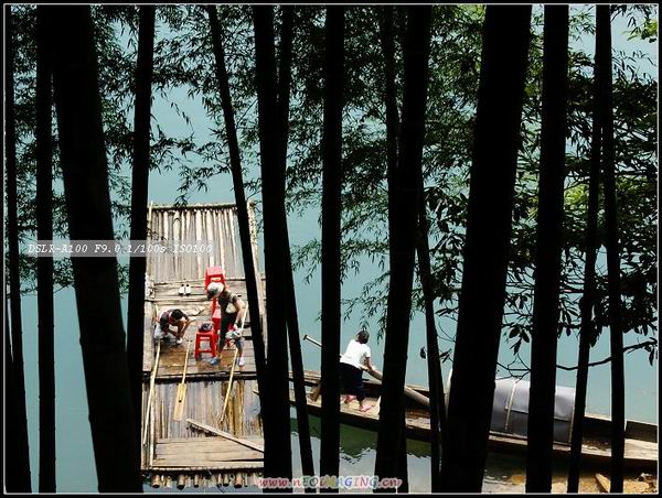 夏日 摄影 還沒有想好