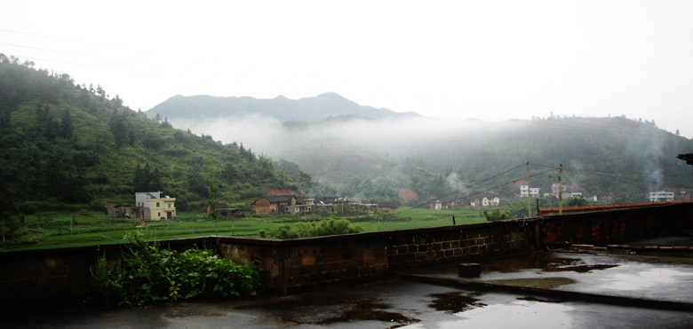 雨后 摄影 绿扣