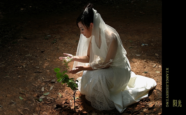 阳光 摄影 湘麓