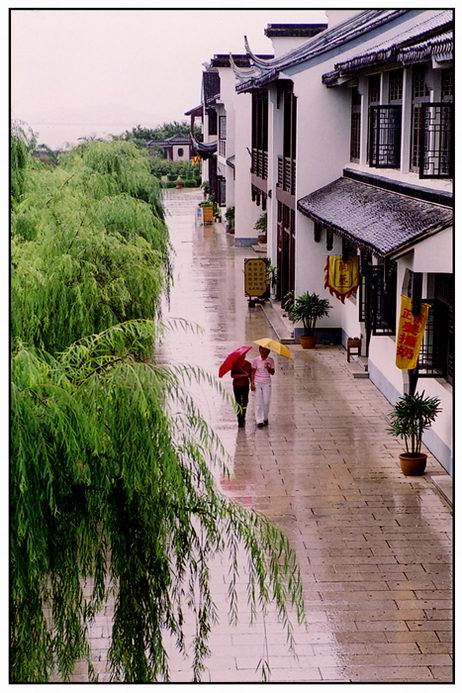 细雨缠绵 摄影 ap6833