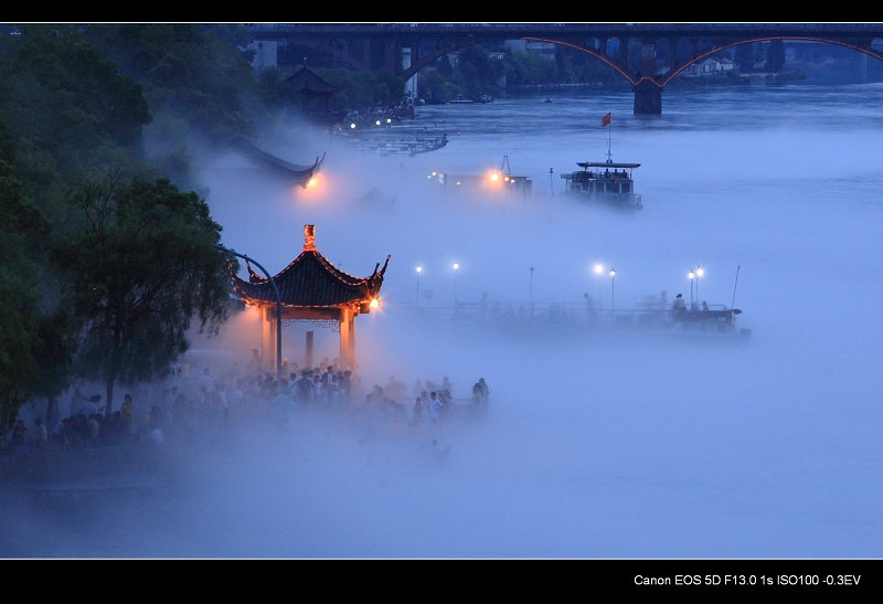 薄雾乘风 摄影 晨雪